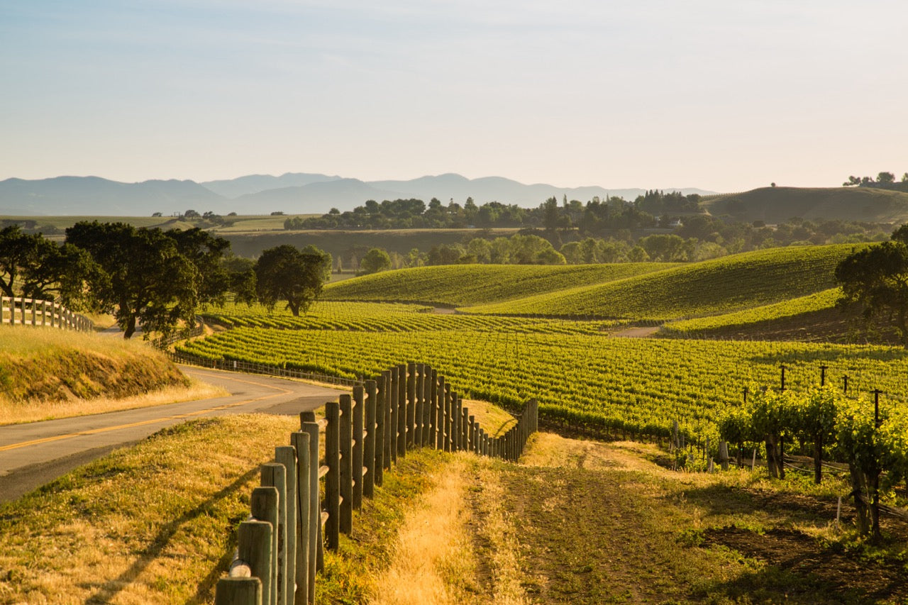 Santa Ynez