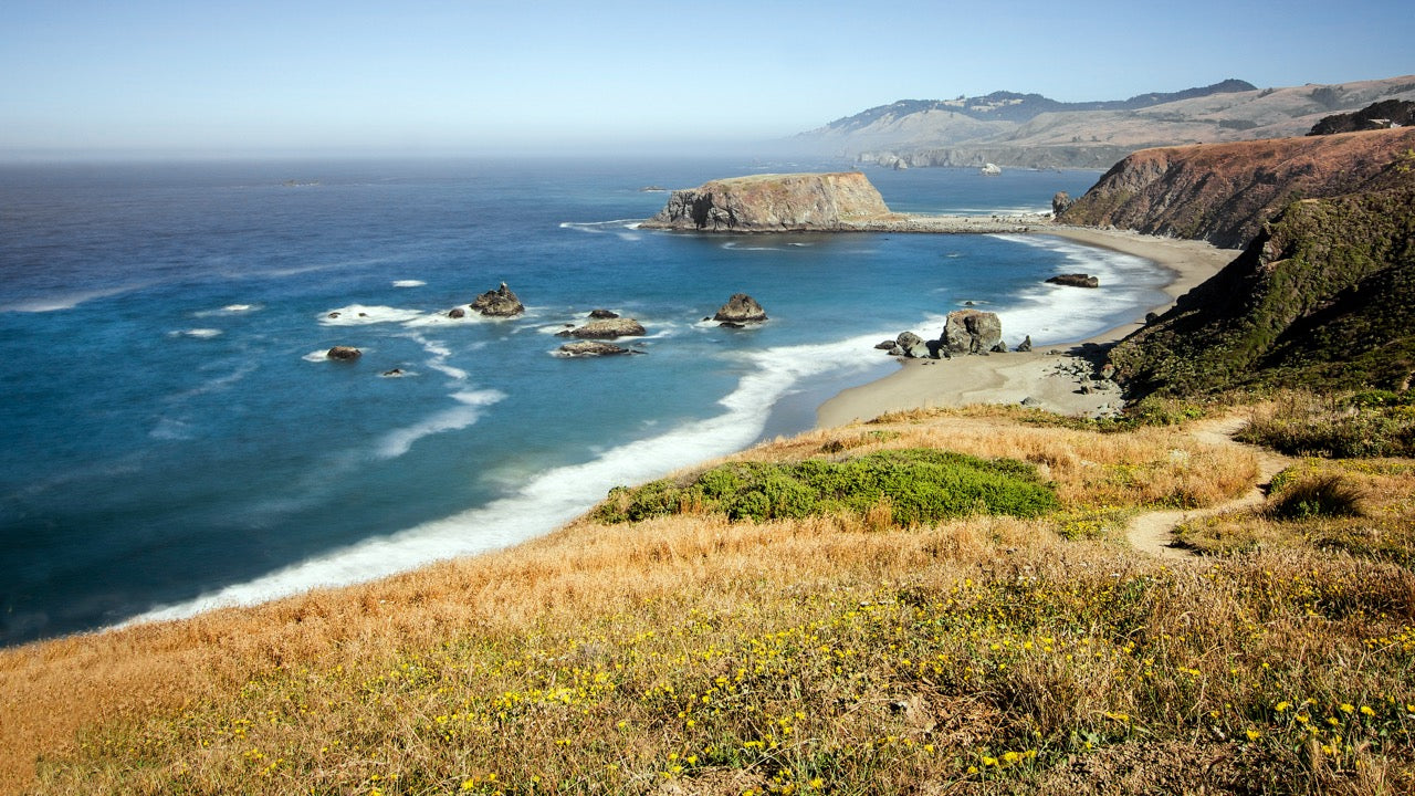 Sonoma Coast