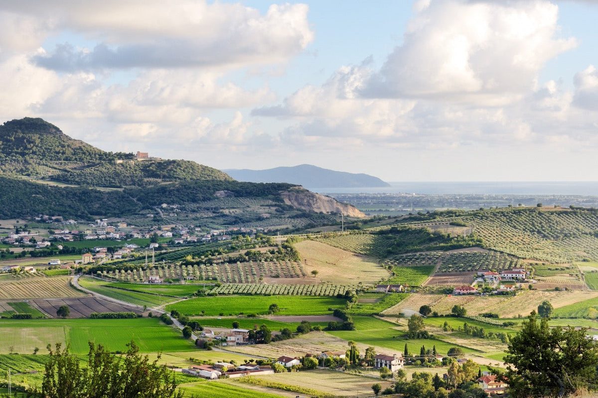 Campania