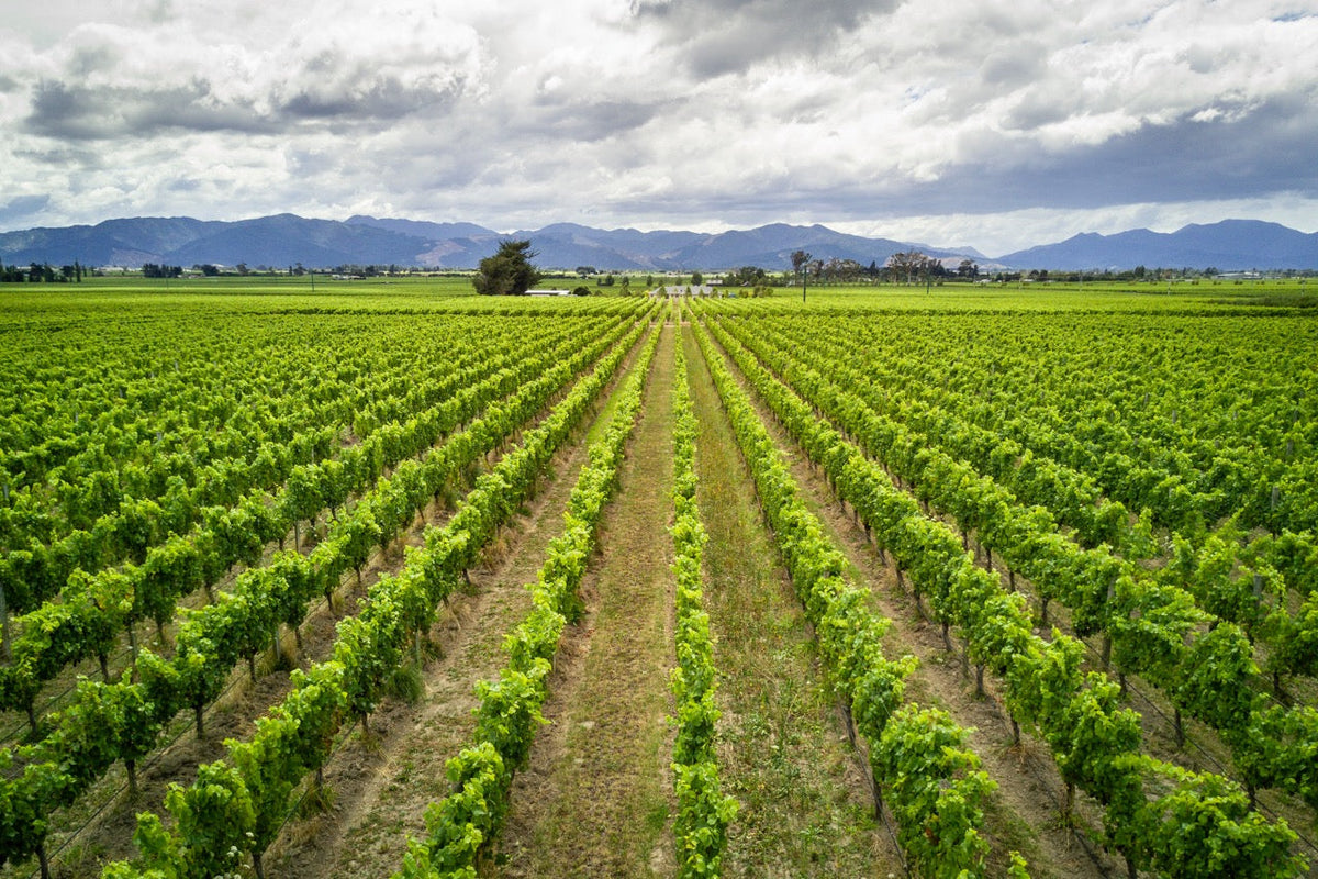 New Zealand South Island