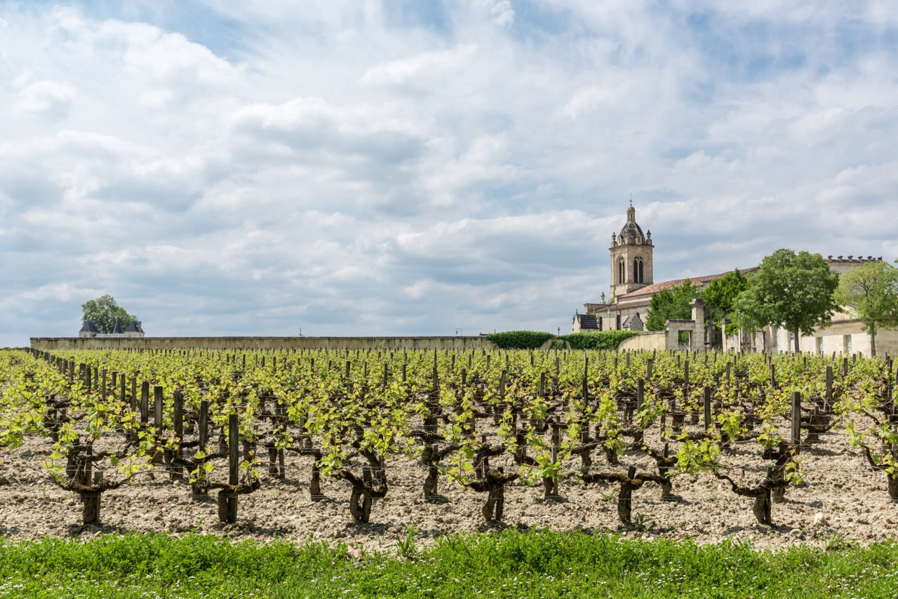 Médoc & Haut-Médoc