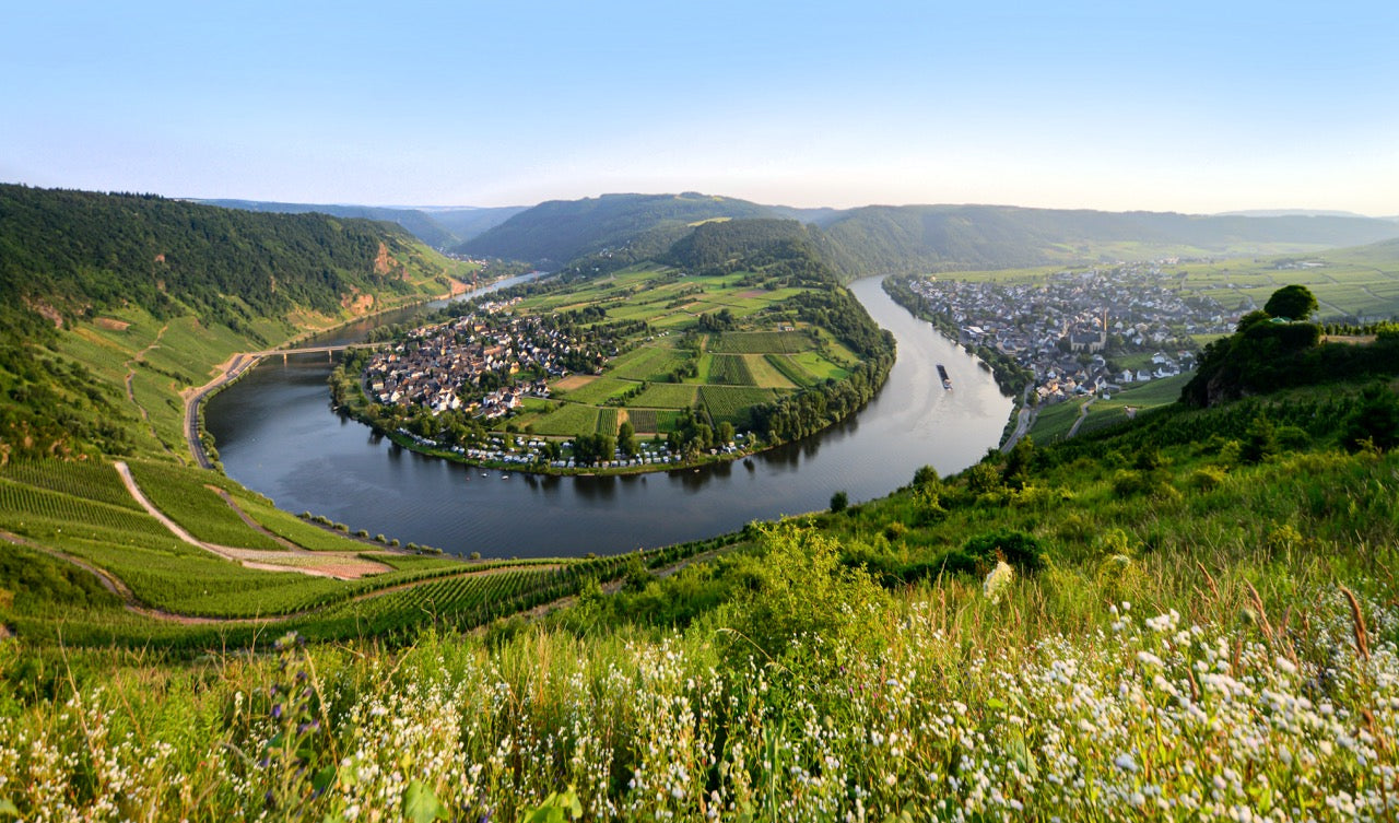 Mosel