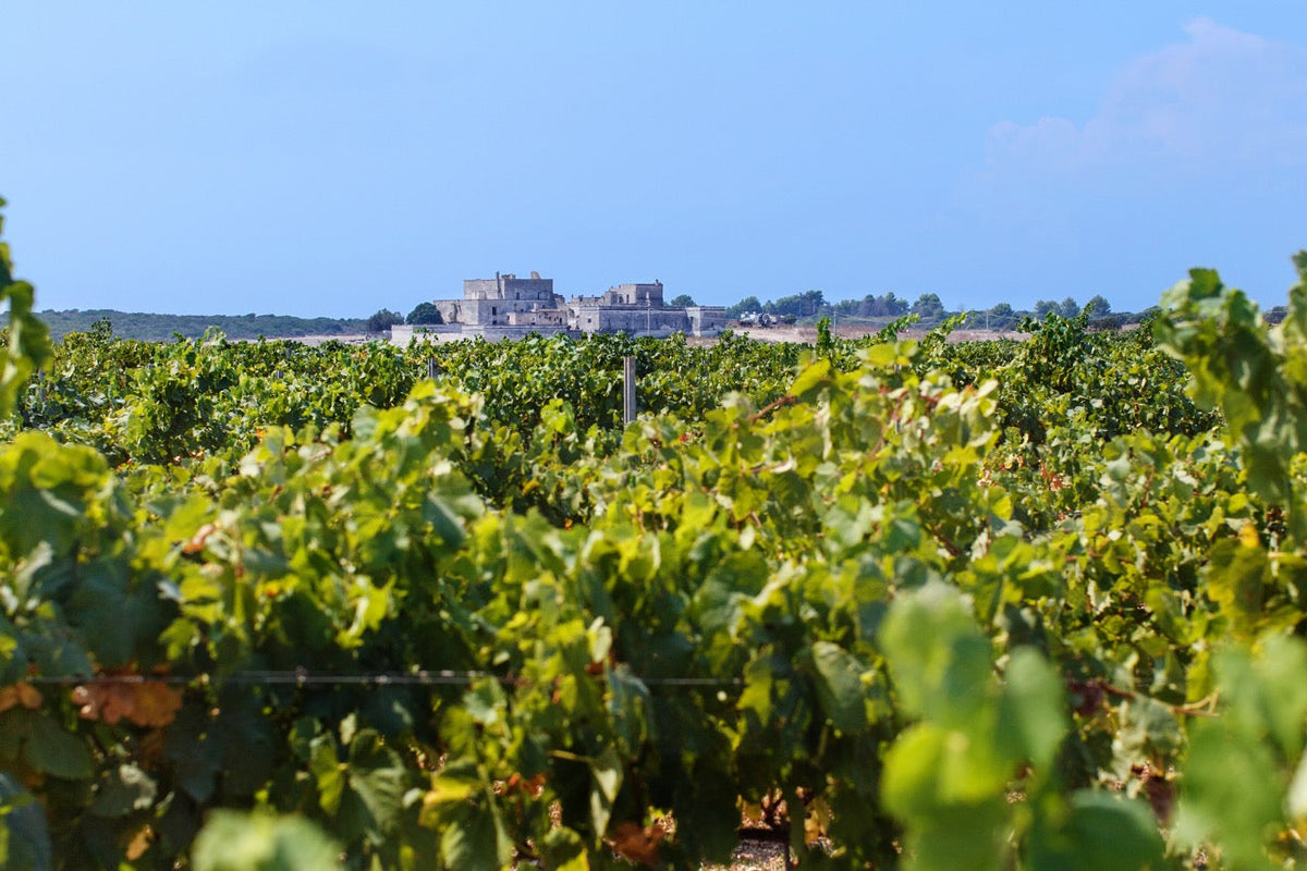 Puglia