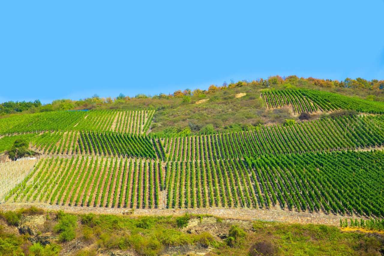 Rheingau