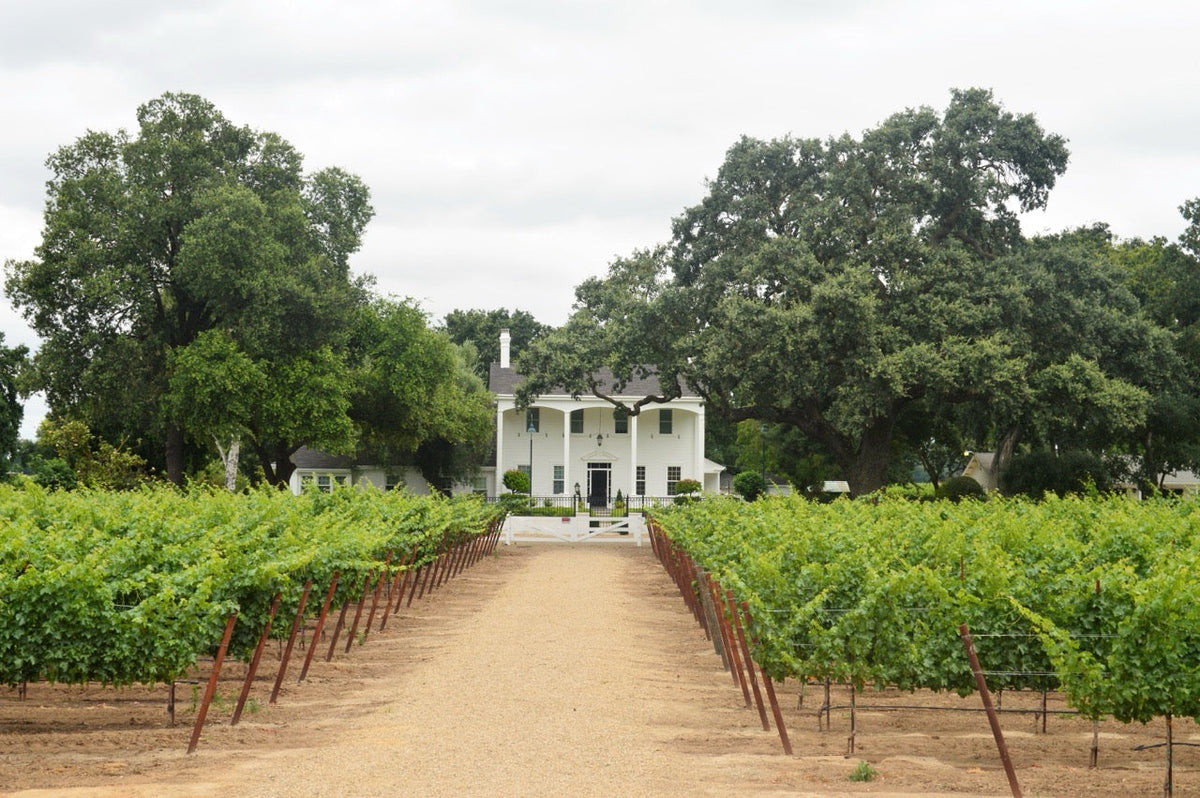 Lodi