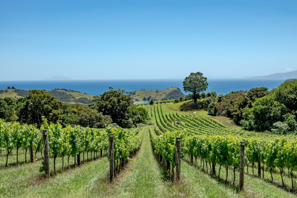 New Zealand North Island