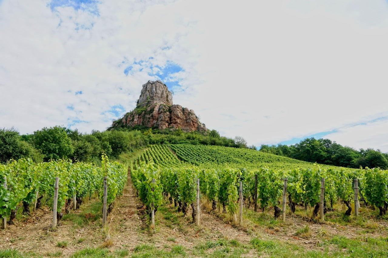 Maconnais