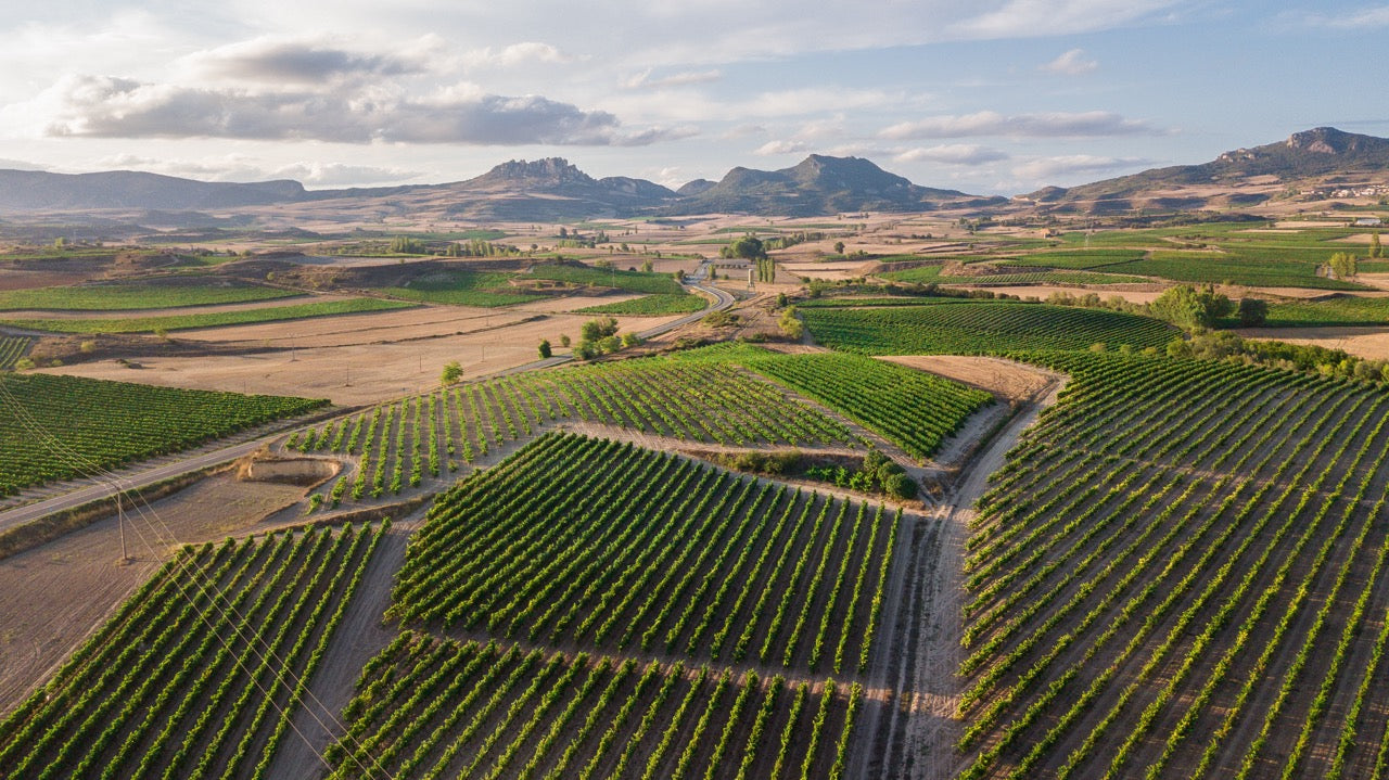 Spanish Wine Clearance Sale