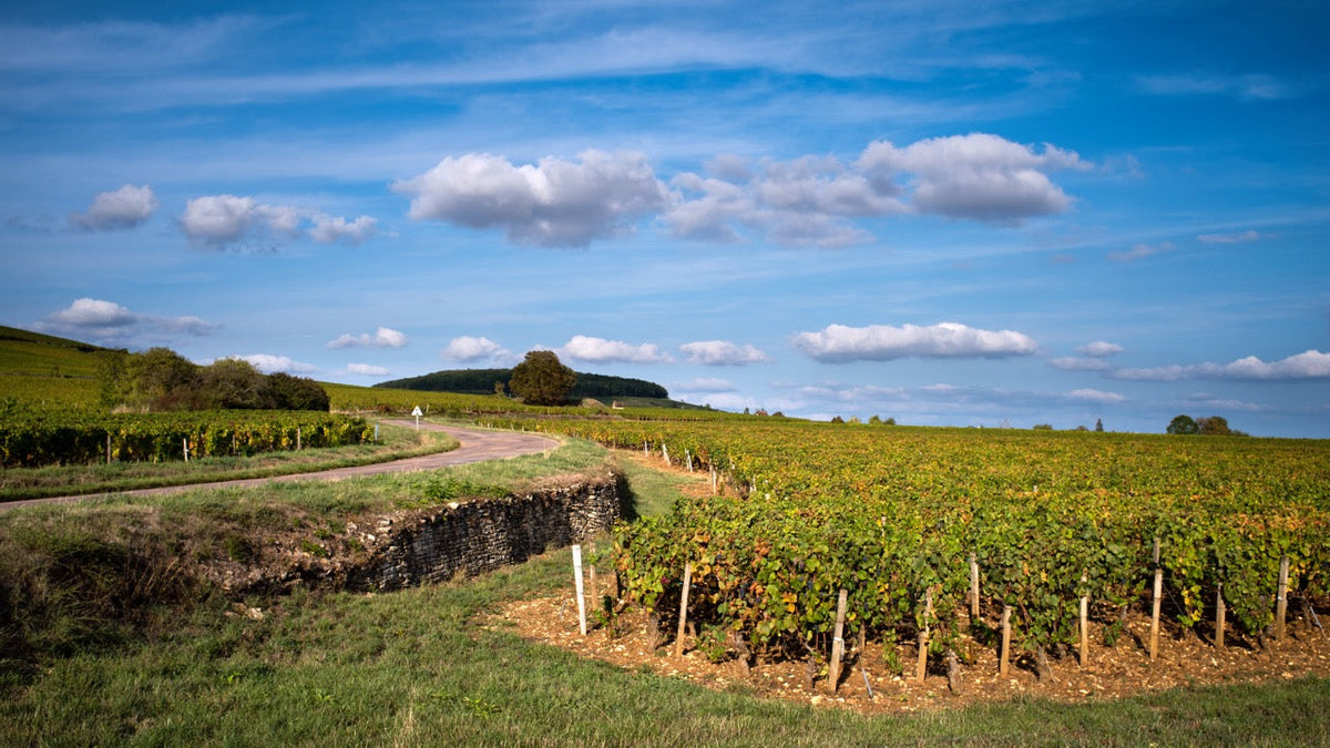 Savigny-lès-Beaune