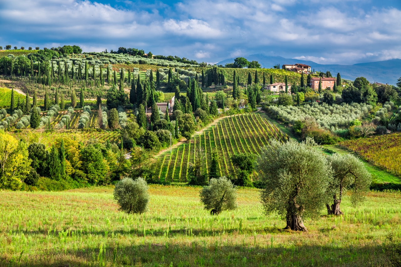 Order wine from Tuscany Tuscany wine by mail
