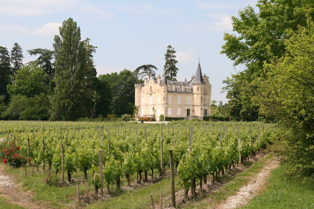 Graves & Pessac-Léognan