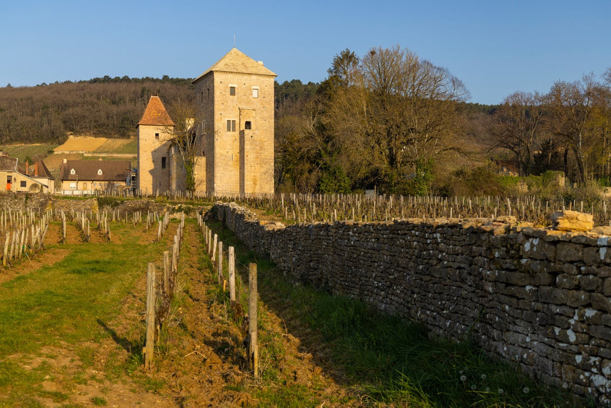 Gevrey-Chambertin