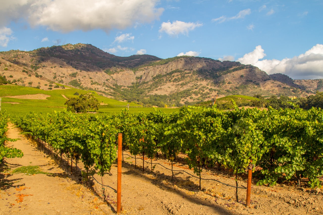 Stag’s Leap District