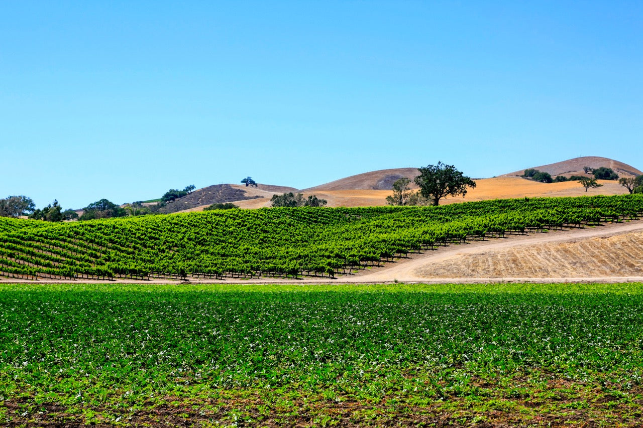 Santa Cruz Mountains