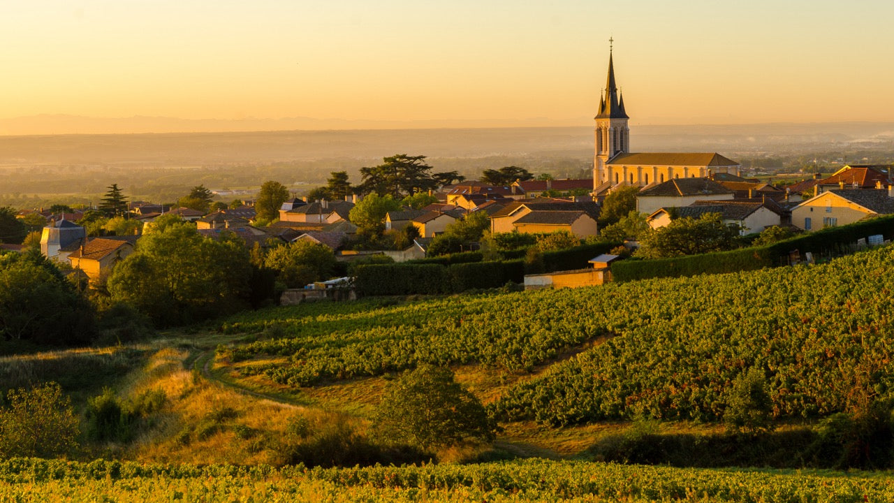 Beaujolais