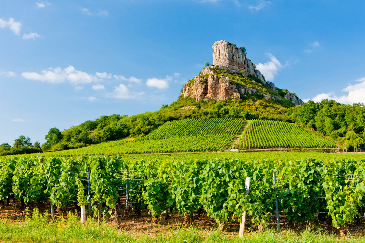 French Wine Clearance Sale