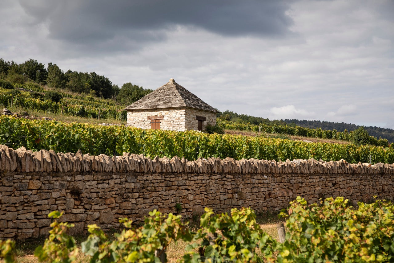 Chassagne-Montrachet