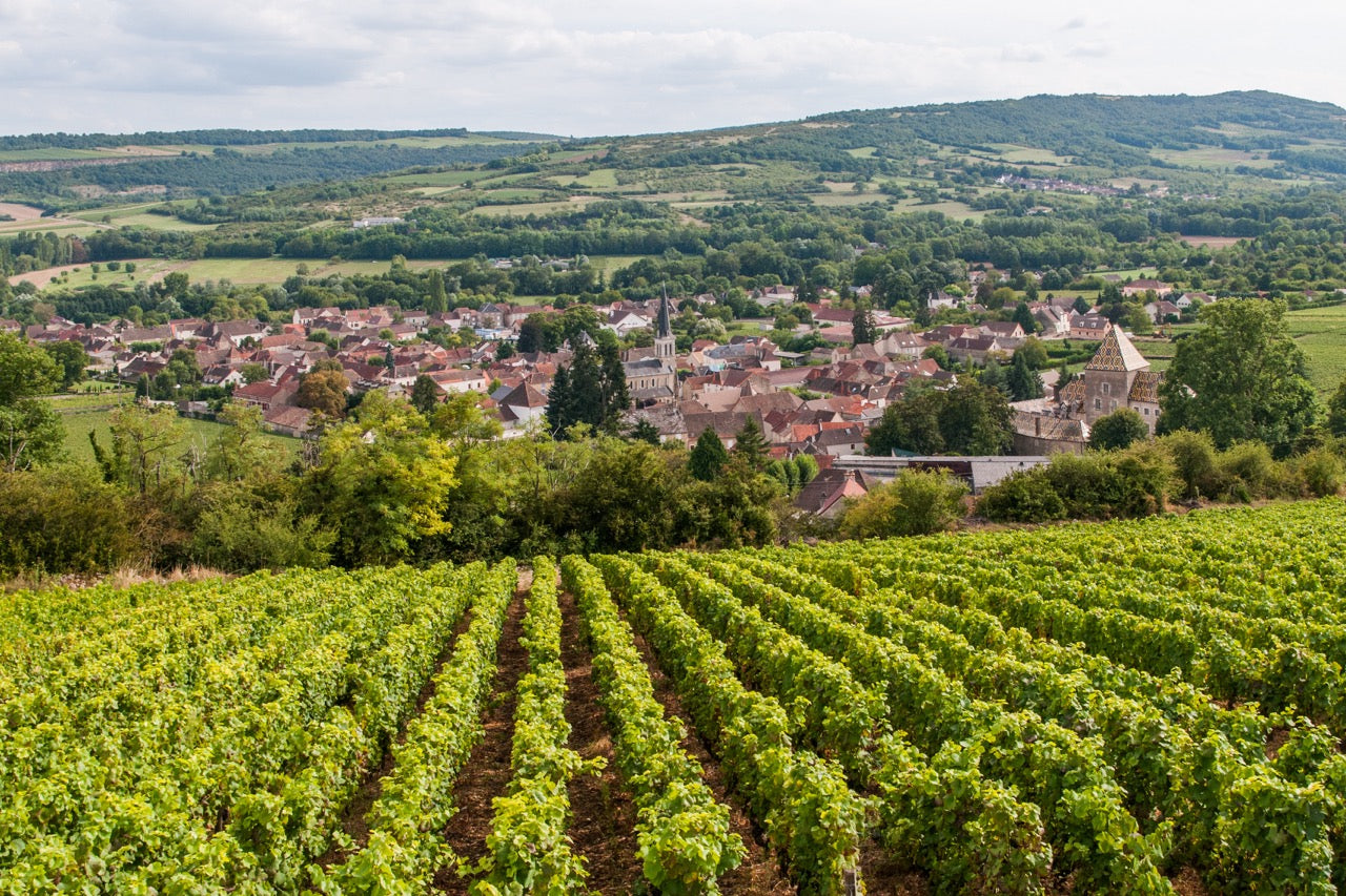 Santenay